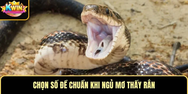Chọn số đề chuẩn khi ngủ mơ thấy rắn